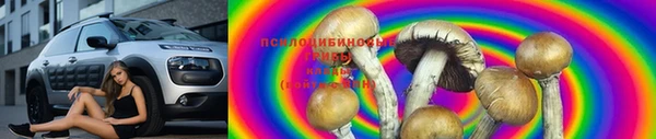 сатива Горно-Алтайск