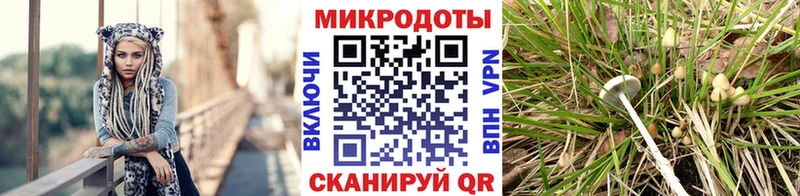 Галлюциногенные грибы ЛСД  Купить закладки  Калининск 